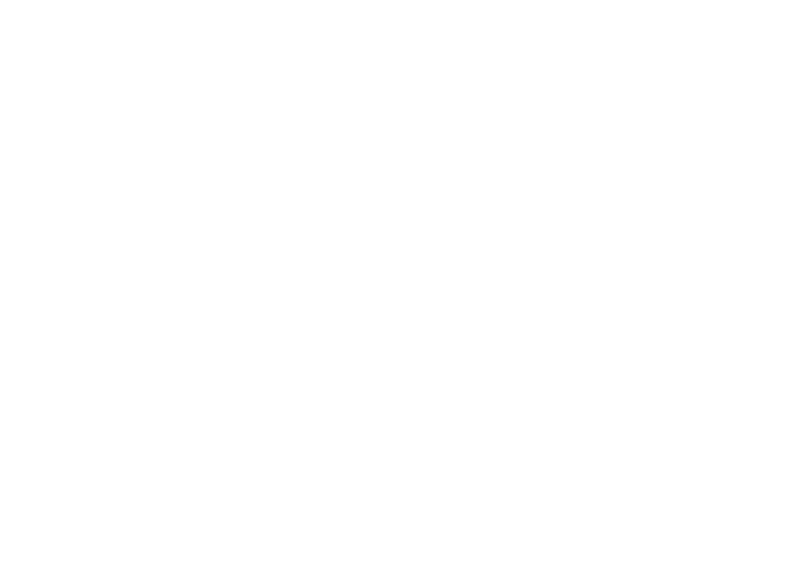 YES500